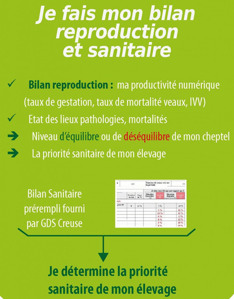 Bilan reproduction et sanitaire